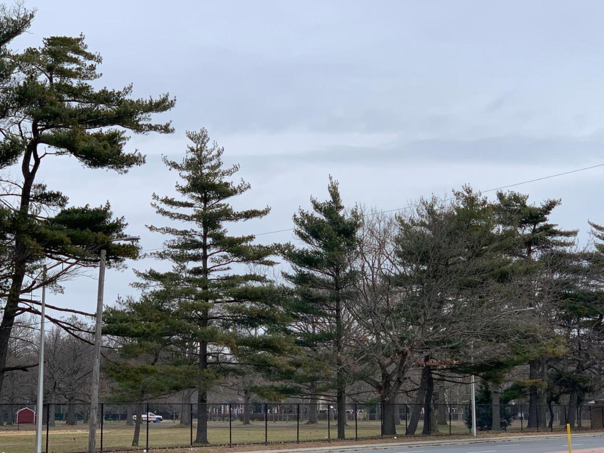 Coliseum Inn & Suites - Garden City Long Island East Meadow Exterior foto